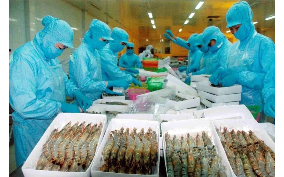 Xuất khẩu t&ocirc;m sang EU tiếp tục tăng tốc từ nay đến cuối năm